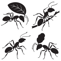 collection of ants icon. vector illustration EPS 10