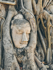 Buddha head in the tree roots in Ayutthaya historical park Wat Mahathat temple, Thailand, Asia. Travel and tourism destination. Ancient architectural heritage. 
