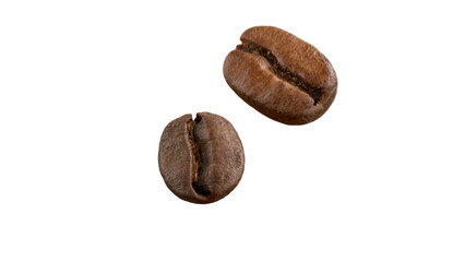 Roasted coffee beans