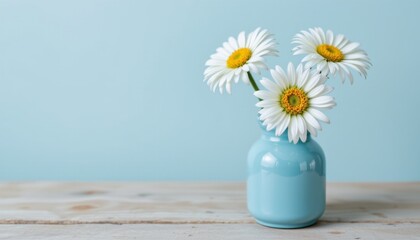 three daisies in a blue vase on a wooden table, sky blue pastel tones, top position with clear copy space at the bottom.