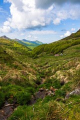 Fototapeta premium Stream forming the valley of the Jordanne near its source