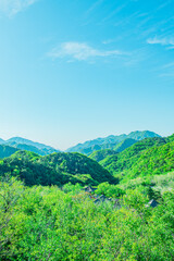 中国　万里の長城からの景色