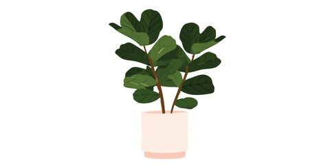 A vibrant fiddle-leaf fig plant, in a pale pot, showcasing the intricate details of nature, the fresh green leaves add a touch of freshness to the interior.