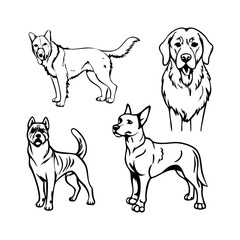 Assortment of Dog Breeds Line Art