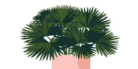 A lush green palm tree in a pink pot, ideal for adding a touch of nature to any interior space, a graphic illustration.