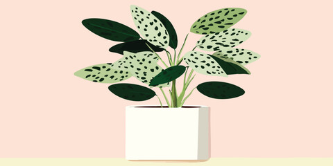 An illustration of a beautifully detailed potted houseplant. The plant displays striking green leaves adorned with intricate spots, nestled in a stylish, modern white pot.