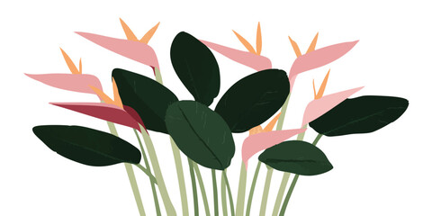 A charming illustration of Bird of Paradise flowers with their unique, eye-catching appearance and vivid colors, bringing a touch of the tropics to any design.