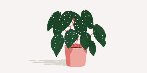 A charming illustration captures a vibrant polka dot Begonia Maculata, potted in a light pink container. The image presents a captivating combination of simplicity and natural beauty.