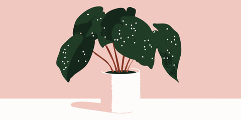 An indoor plant, with vibrant leaves and speckled patterns, adds a touch of nature's tranquility. the image showcases a perfect plant, harmoniously placed on a light background.