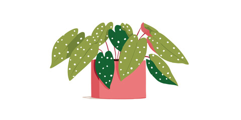 A stylized illustration of a polka dot begonia in a vibrant pot, showcasing its unique spotted foliage.