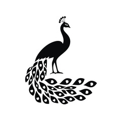 Fototapeta premium Tribal Peacock Tattoo Silhouette design
