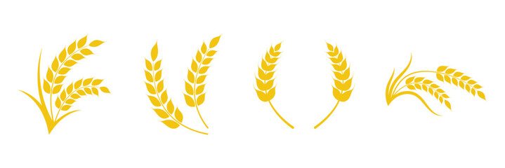 Wheat spikes, Wheats ears icon set, Harvest wheat grain, growth rice stalk and whole bread grains or field cereal nutritious.