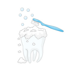 white background, personal hygiene procedure for cleaning the surface of the teeth from food debris and soft plaque, performed with a blue toothbrush and toothpaste