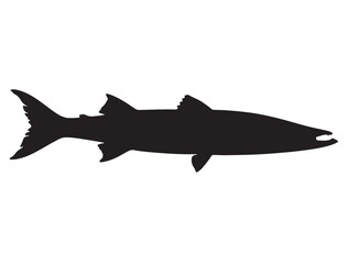 Obraz premium Barracuda Fish Silhouette