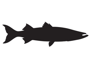 Barracuda Fish Silhouette