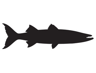 Barracuda Fish Silhouette