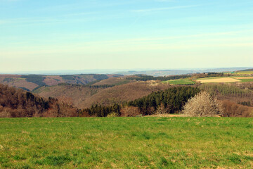 Aussicht ins Drohntal vom Premium-Wanderweg Traumschleife Rockenburger Urwaldpfad bei Beuren in der Verbandsgemeinde Hermeskeil im Landkreis Trier-Saarburg in Rheinland-Pfalz.