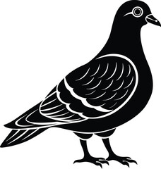 Black Silhouette of Standing Pigeon with Detailed Feathers on White Background, Vector Illustration