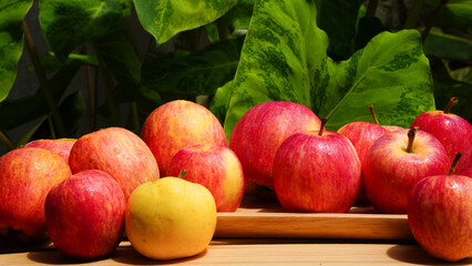 A handful of bright red apples lie on the ground.
