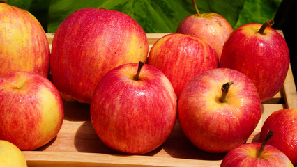 A handful of bright red apples lie on the ground.