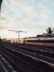Electric Train Passing Palm Trees