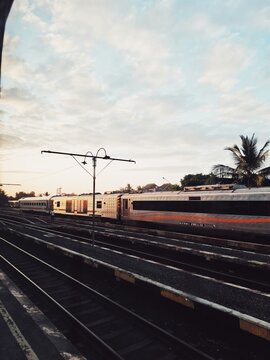 Electric Train Passing Palm Trees