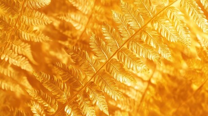 Golden fern leaves close-up, illuminated background.
