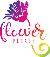 Beautiful romantic flower collection with roses, leaves, floral bouquets, flower