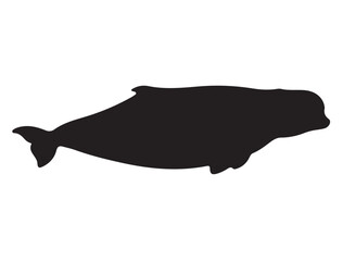 Beluga Whale Silhouette