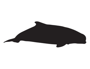 Beluga Whale Silhouette