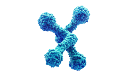 Detailed microscopic view of a connected cellular structure with a dark background