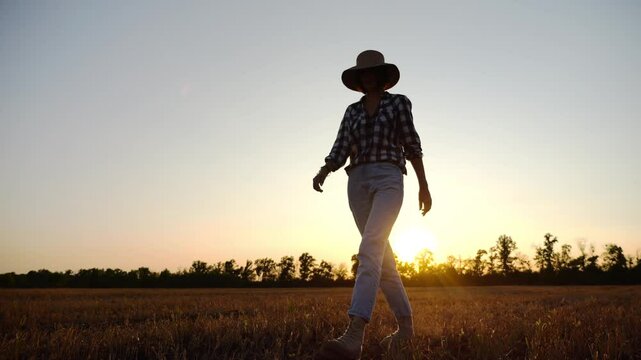 Adult agronomist in straw hat walking among barley plantation at dusk. Female farmer going through wheat meadow at sunset. Beautiful scenic landscape. Concept of agricultural business. Slow motion