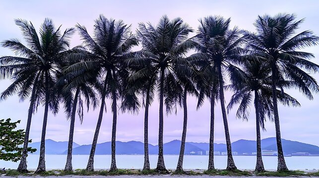 Tropical beach at twilight showing dark palm tree silhouettes against a gradient purple sky and a peaceful sea gently touching the sand - Powered by Adobe