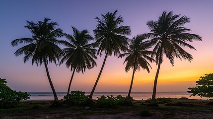 Obraz premium Silhouetted palm trees standing tall on a tropical beach under a serene purple dusk sky with calm ocean waters in the background