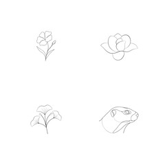 Delicate line art illustrations featuring various flowers a ginkgo branch and a groundhog