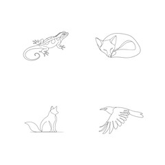 Delicate line art illustrations of various animals including a fox lizard and a raven