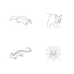 Outline drawings of a badger a lynx a newt and a spider web on a white background