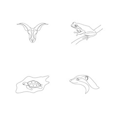 Elegant minimalist line art illustrations of a skull frog turtle and badger on white background
