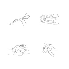 Outline illustrations of stick insect weasel frog and raccoon in minimalist linear style