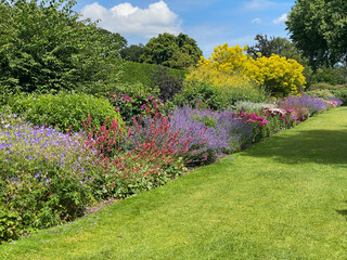 Traditional English country garden border full of beautiful flowers