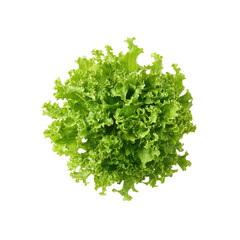 Obraz premium Fresh Lettuce Head: A vibrant, freshly harvested head of lettuce, showcasing its delicate, ruffled leaves and crisp texture, perfectly embodying the essence of freshness and wholesome nutrition.