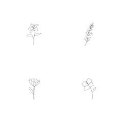 Elegant collection of minimalist floral line art illustrations perfect for decorative designs