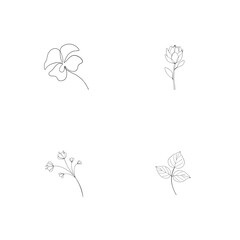 Elegant floral line art collection featuring various flowers and leafy elements on white
