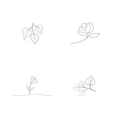 Delicate line art botanical illustrations of leaves and flowers on a clean white background
