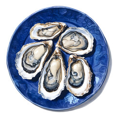 Fresh Oysters on a Blue Plate: Culinary Delight on white background