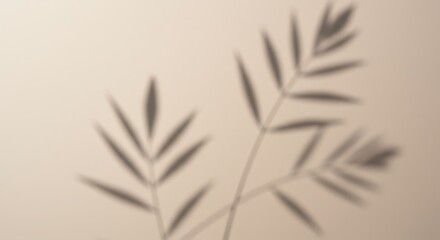 Leaf Shadow on Neutral Background