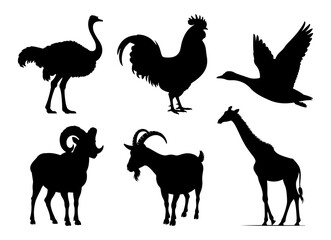 Silhouette collection featuring an ostrich, rooster, duck, ram, goat, and giraffe in a vector graphic
