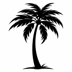 Elegant drooping palm tree silhouette