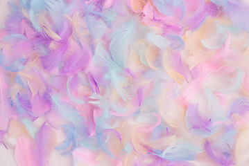 Colorful fluffy feather with pastel colors. Textured aesthetic Summer and Spring background.