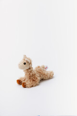 Baby alpaca stuffed animal sitting on a white background